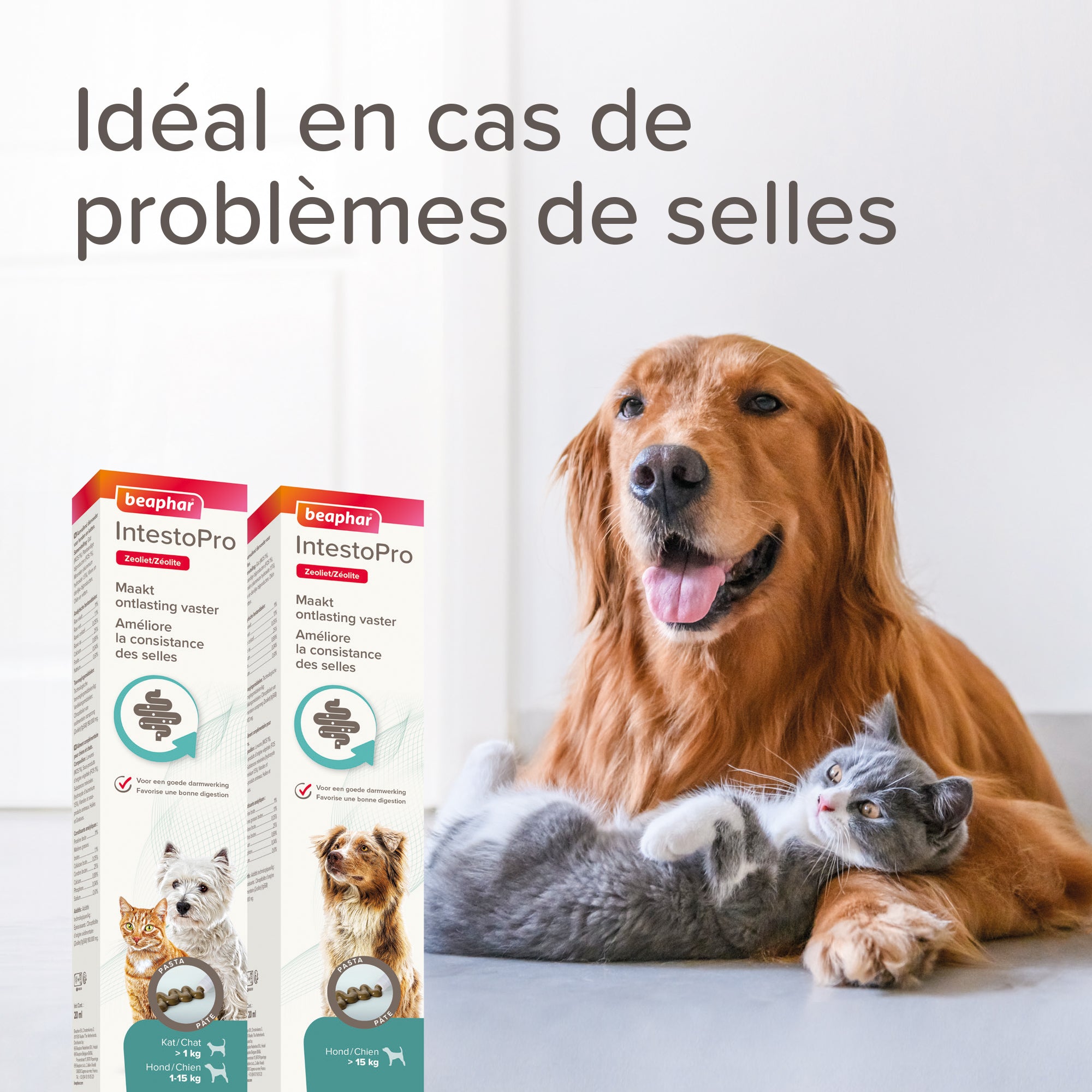 Intestopro Pâte Supplément pour Chien M/L 2x20ml