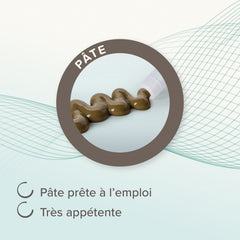 Intestopro Pâte Supplément pour Chien M/L 2x20ml