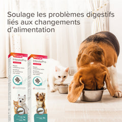 Intestopro Pâte Supplément pour Chien M/L 2x20ml