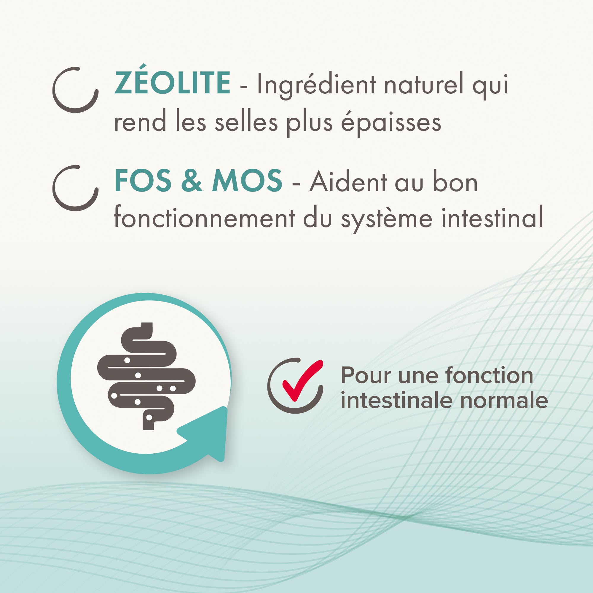 Intestopro Pâte Supplément pour Chien M/L 2x20ml