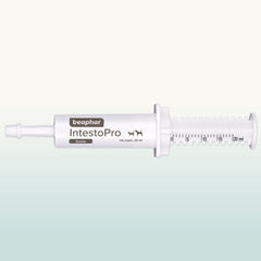 Beaphar IntestoPro Pâte Supplément pour Chat, 20ml