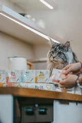 Brit Care Aliment Humide Chat Soupe au saumon pour chats 75 g