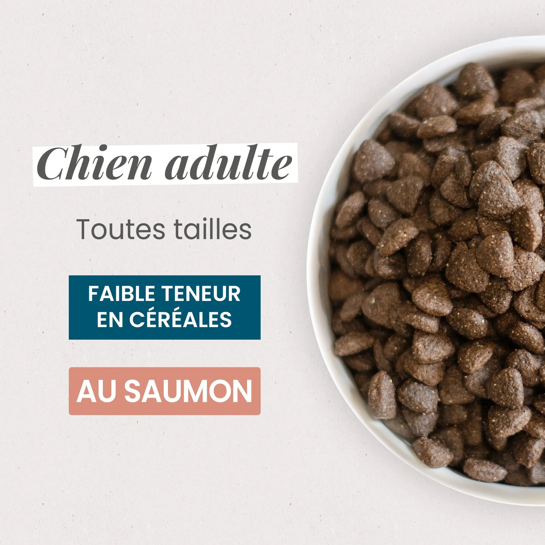 Ultra Premium Direct Aliment Sec Chien Adulte Saumon et Riz 12 Kg