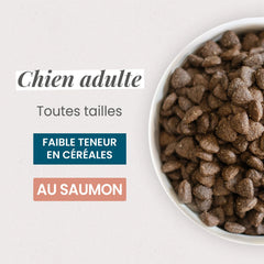Ultra Premium Direct Aliment Sec Chien Adulte Saumon et Riz 12 Kg