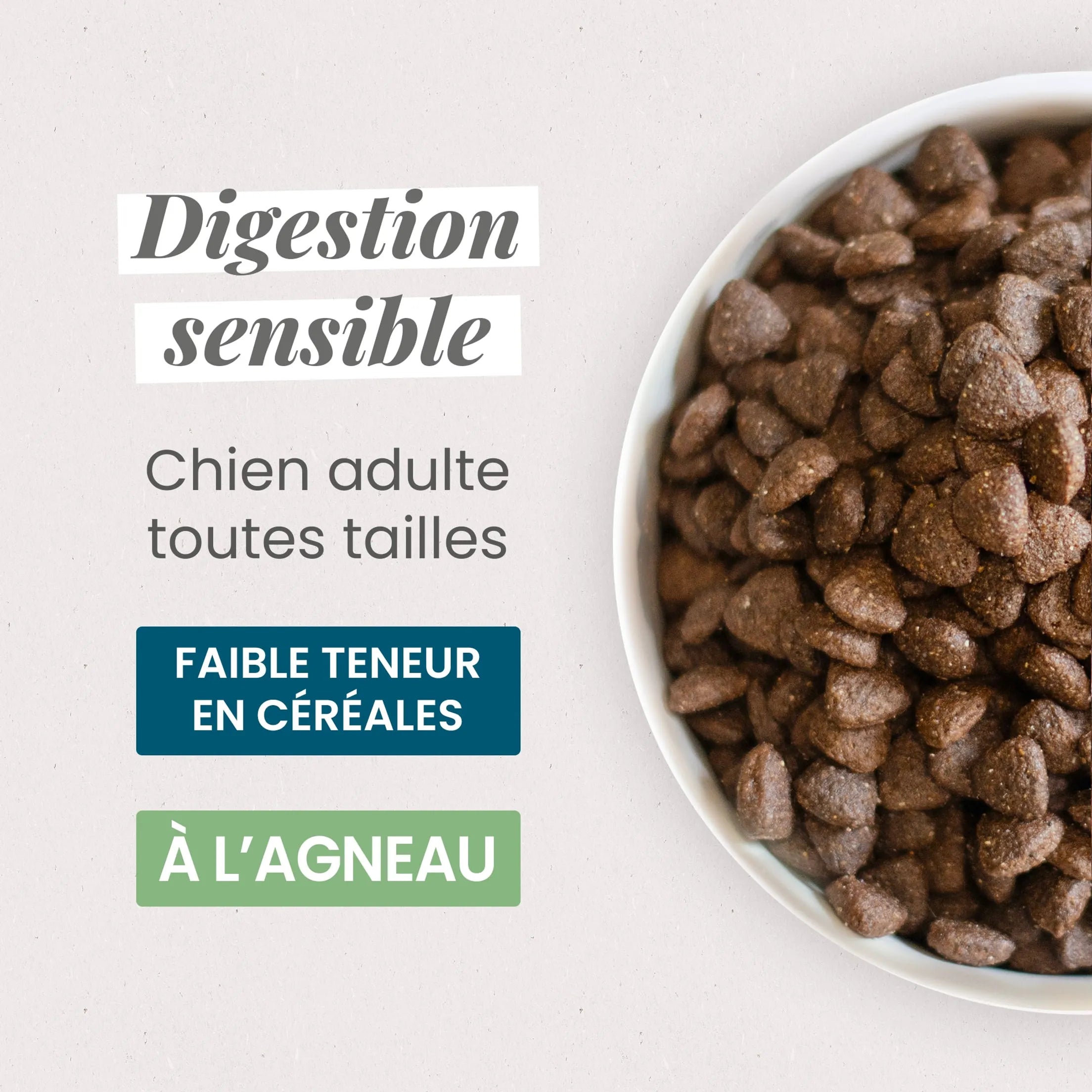 Ultra Premium Direct Aliment Sec Chien sensible adulte toutes tailles, agneau et riz
