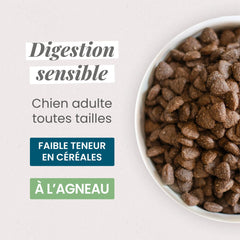 Ultra Premium Direct Aliment Sec Chien sensible adulte toutes tailles, agneau et riz