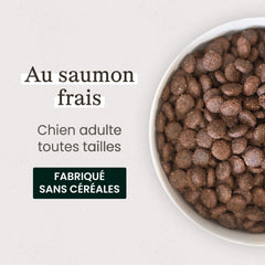 Ultra Premium Direct Aliment Sec Chien sans céréales au saumon frais pour chien adulte de petite taille (<10kg) 7 Kg
