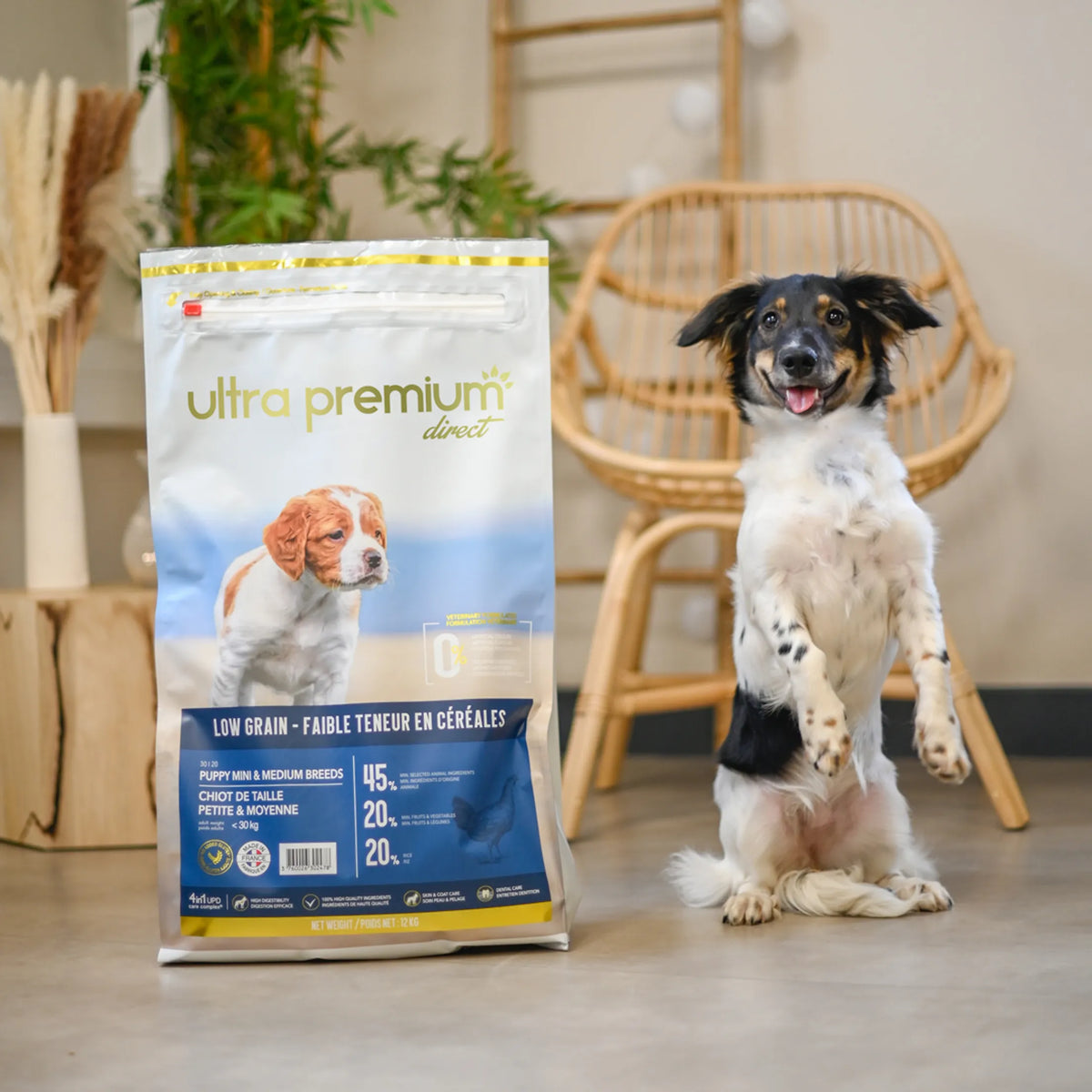 Ultra Premium Direct Croquettes Super Premium pour Chiot de Petite et Moyenne Taille (poids adulte &lt;30 Kg) 4 Kg