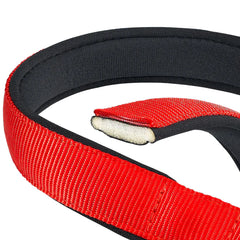 Collier Chiens Daytona Ferplast Rouge