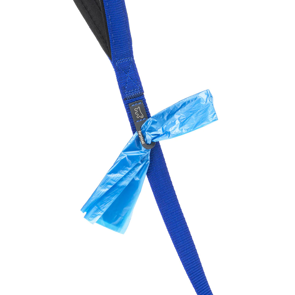 DAYTONA G FERPLAST leash