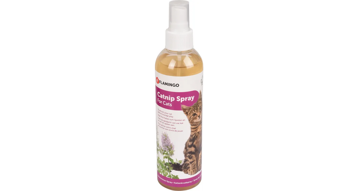 CATNIP SPRAY 250ML