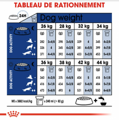 Royal Canin Aliment Sec Chien Maxi Ageing 8+ 15kg