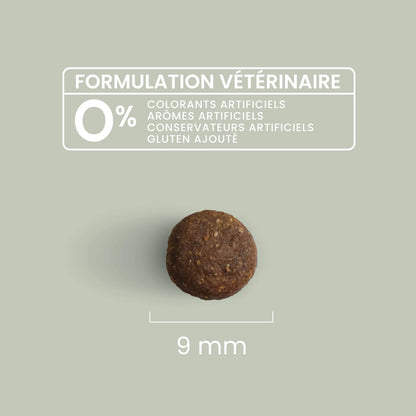 Ultra Premium Direct Aliment Sec pour Chat Saumon - Sans Céréales - Pour Chat Stérilisé 7 Kg