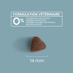 Ultra Premium Direct Aliment Sec Chien Super Premium pour Chien Adulte de Taille Moyenne (de 10 à 30 Kg) 12 Kg