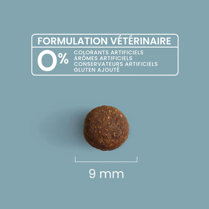 Ultra Premium Direct Aliment Sec Chien Super Premium Pour Chien de Petite Taille Adulte (jusqu'à 10 Kg) 8 Kg