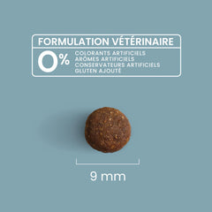 Ultra Premium Direct Aliment Sec Chien Super Premium Pour Chien de Petite Taille Adulte (jusqu'à 10 Kg)