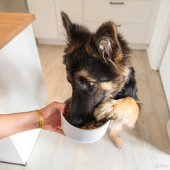 Ultra Premium Direct Aliment Sec Chien Super Premium pour Chiot de Grande Taille (poids adulte >30 Kg)  12 Kg