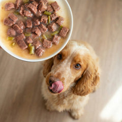 Ultra Premium Direct tendres émincés en sauce Aliment Humide Chien sans céréales - Agneau & haricots verts 100g