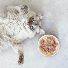 Ultra Premium Direct Sachets fraîcheur Aliment Humide Chat sans céréales - Tendres effilés en sauce Thon / Cabillaud 85g