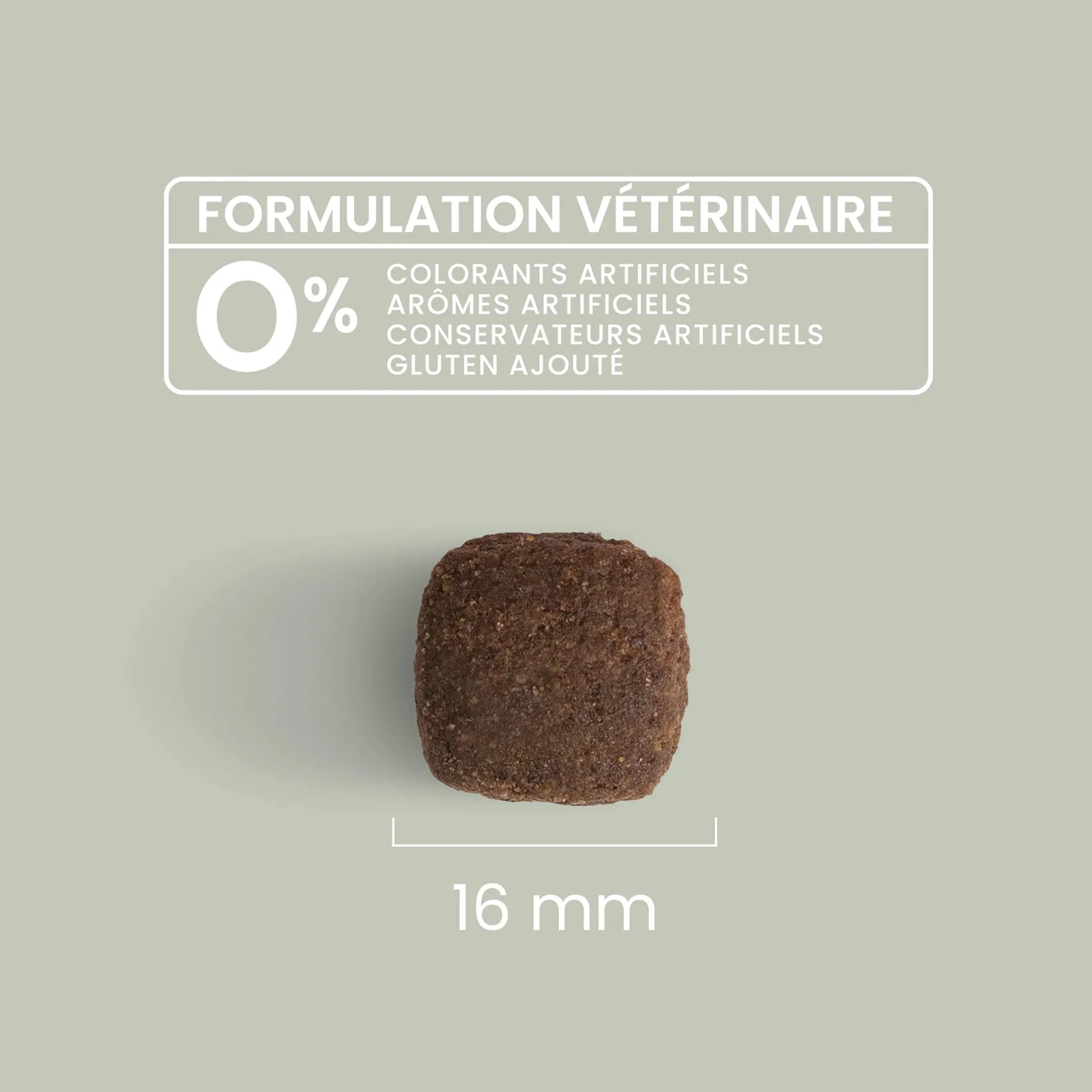 Ultra Premium Direct Aliment Sec Chien adulte toutes tailles Sans Céréales au Poulet frais 12 Kg