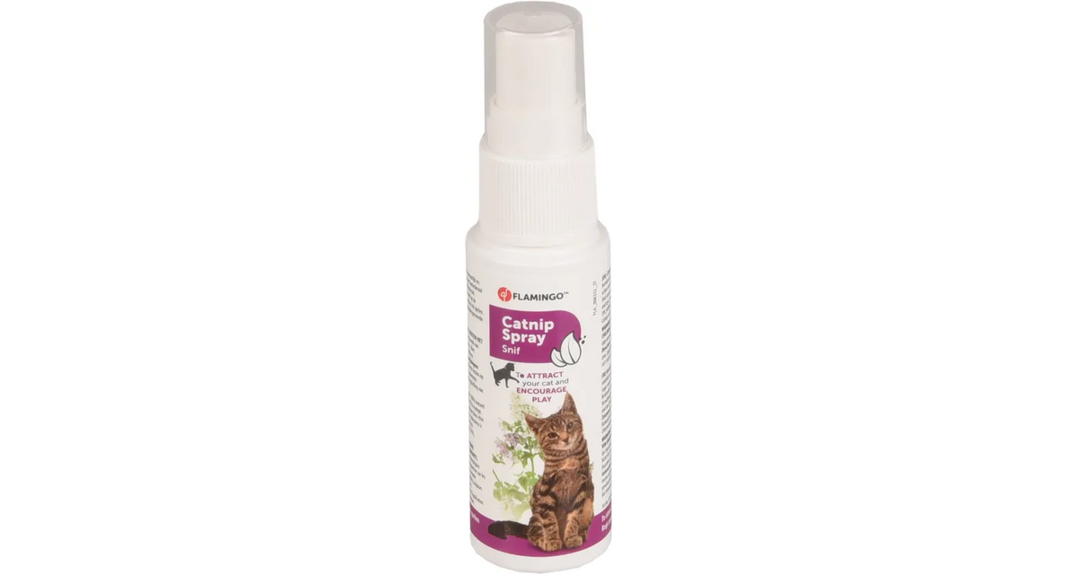 CATNIP SPRAY 25ML