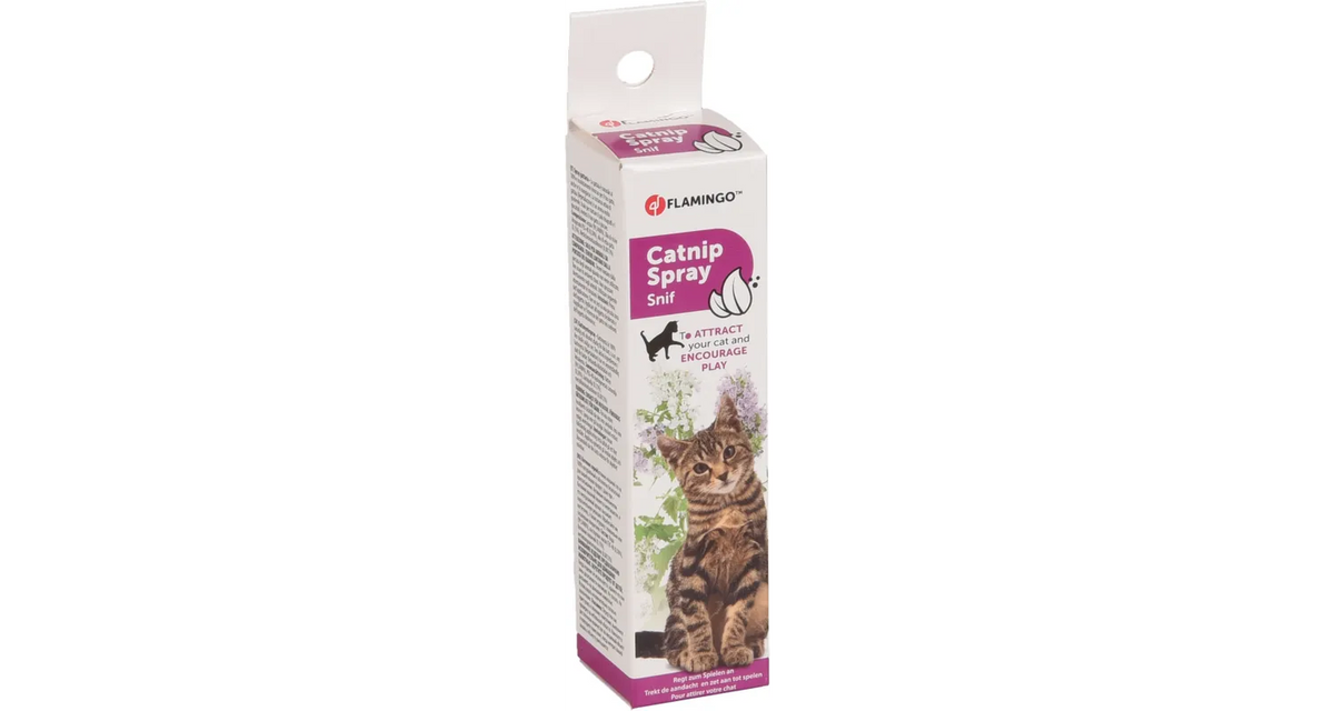 CATNIP SPRAY 25ML