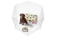 PUPPY JAX SILVER ENCLOSURE