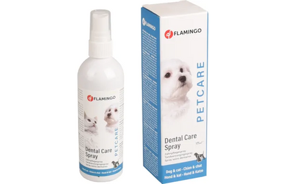 SPRAY HYGIÈNE DENTAIRE MENTHE - SPRAY 175 ML