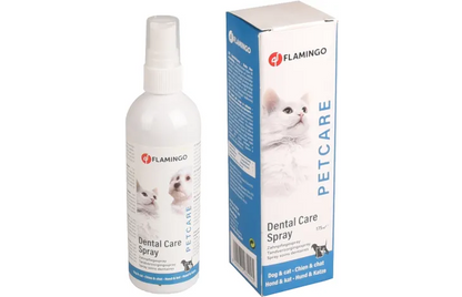 SPRAY HYGIÈNE DENTAIRE MENTHE - SPRAY 175 ML