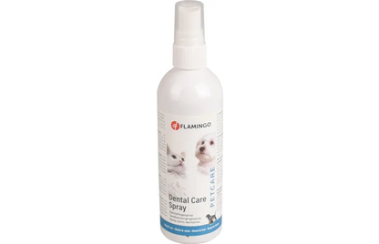 SPRAY HYGIÈNE DENTAIRE MENTHE - SPRAY 175 ML