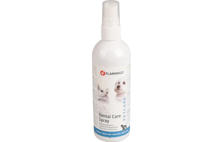 MINT DENTAL HYGIENE SPRAY - 175 ML SPRAY