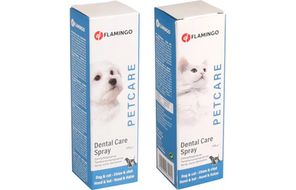 SPRAY HYGIÈNE DENTAIRE MENTHE - SPRAY 175 ML