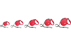 Flexi Laisse à enrouleur Classic Sangle Rouge