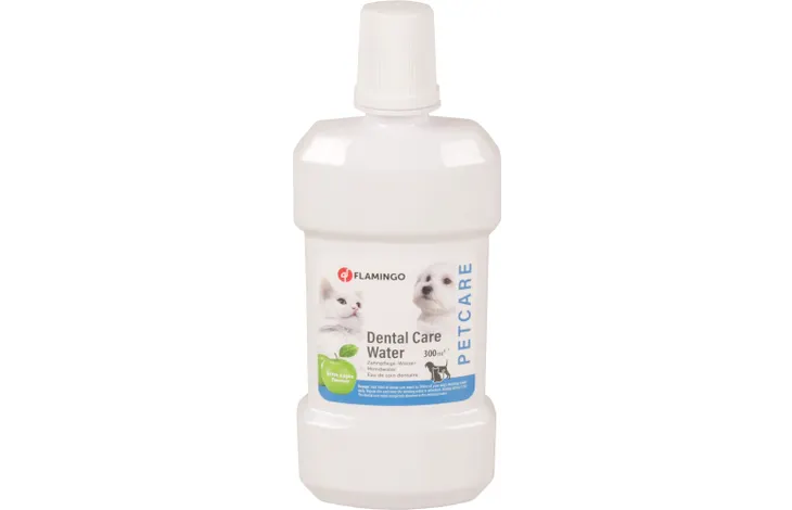 Bain de bouche avec parfum de pomme Bouteille 300 ML