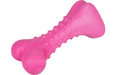 Jouet Pour Chien Dina Os au goût de framboise