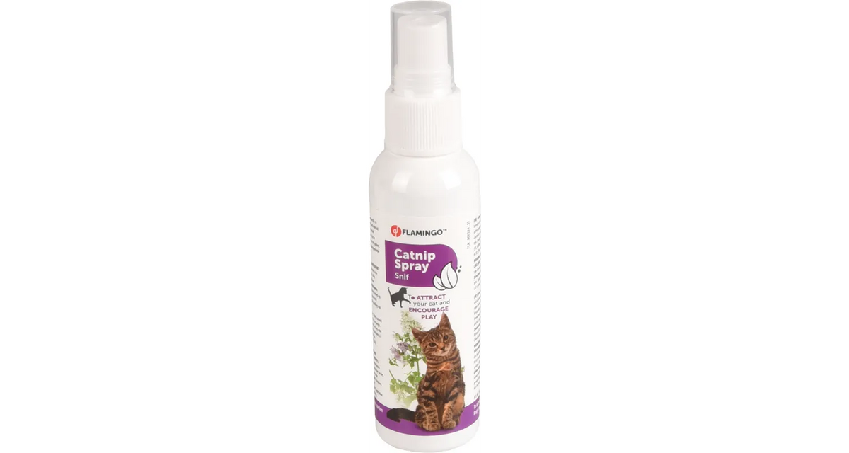 CATNIP SPRAY 60ML