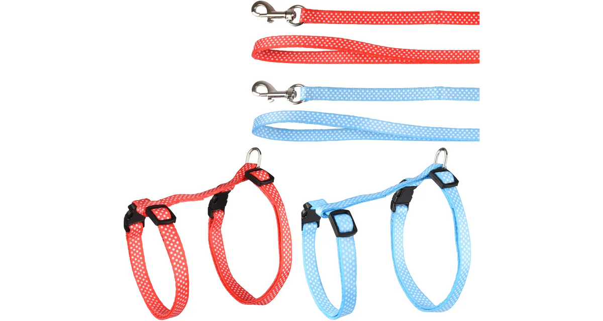 AIWA HARNESS WITH LEASH SEVERAL COLORS