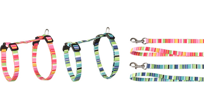 HARNESS WITH LEASH AMIRA SEVERAL COLORS
