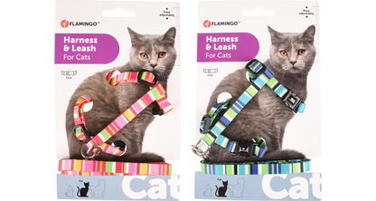 HARNESS WITH LEASH AMIRA SEVERAL COLORS