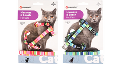 HARNESS WITH LEASH AMIRA SEVERAL COLORS