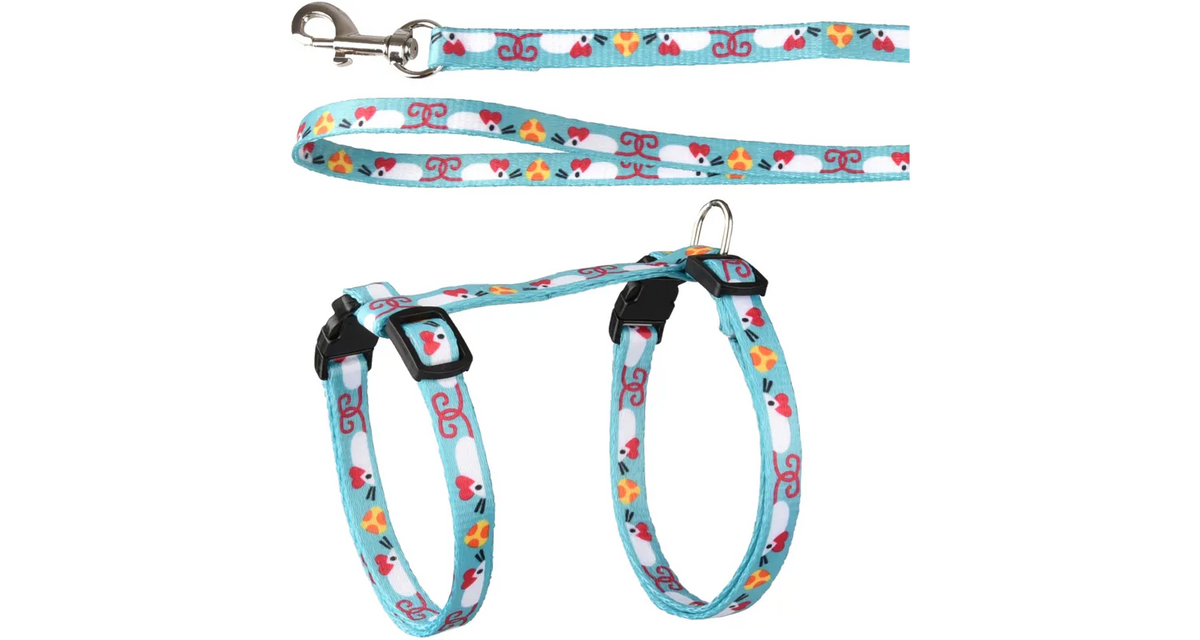 HARNESS WITH LEASH ARWEN BLUE &amp;amp; WHITE &amp;amp; RED &amp;amp; YELLOW &amp;amp; ORANGE &amp;amp; BLACK