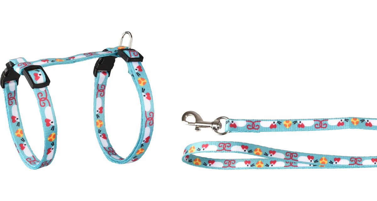 HARNESS WITH LEASH ARWEN BLUE &amp;amp; WHITE &amp;amp; RED &amp;amp; YELLOW &amp;amp; ORANGE &amp;amp; BLACK