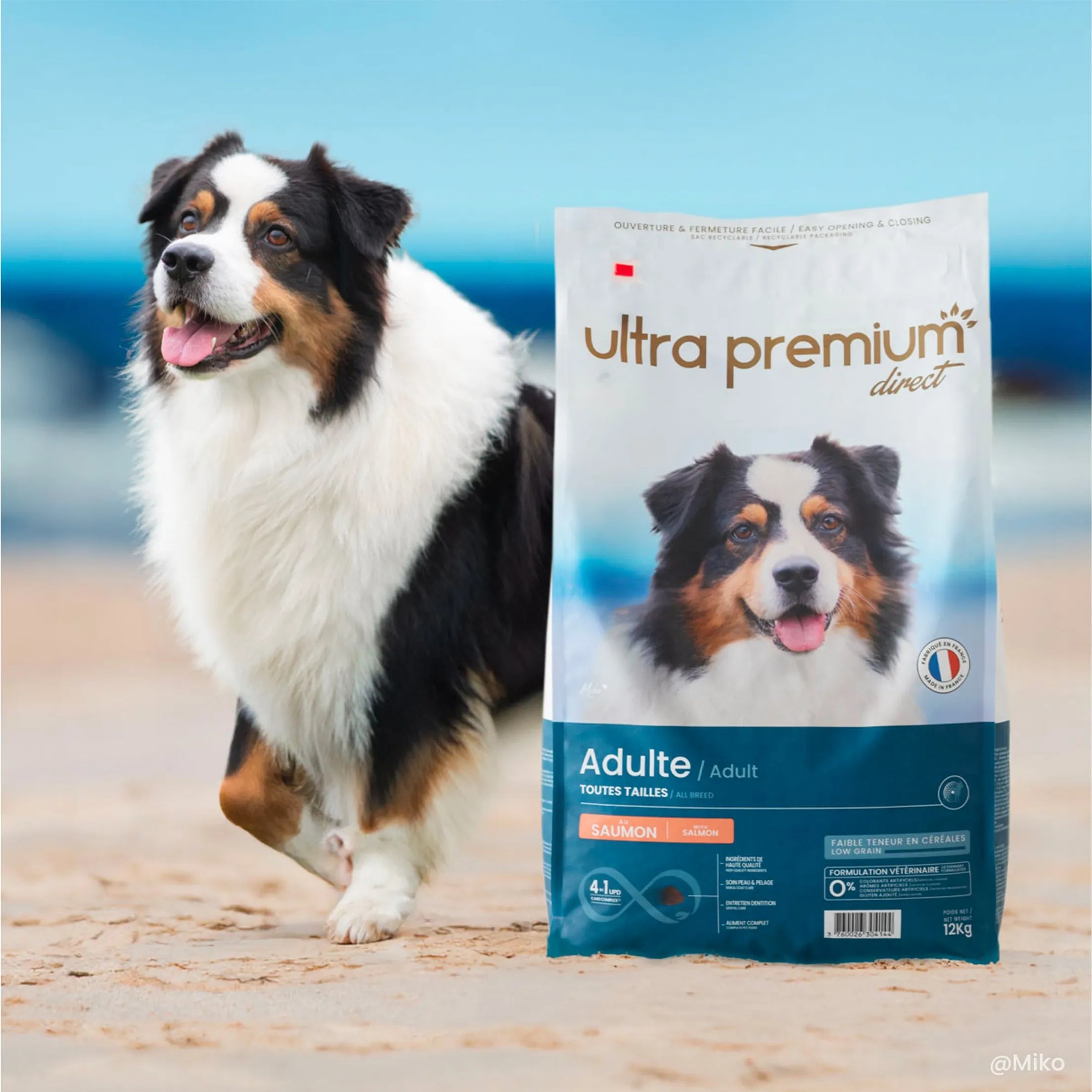 Ultra Premium Direct Aliment Sec Chien Adulte Saumon et Riz 12 Kg