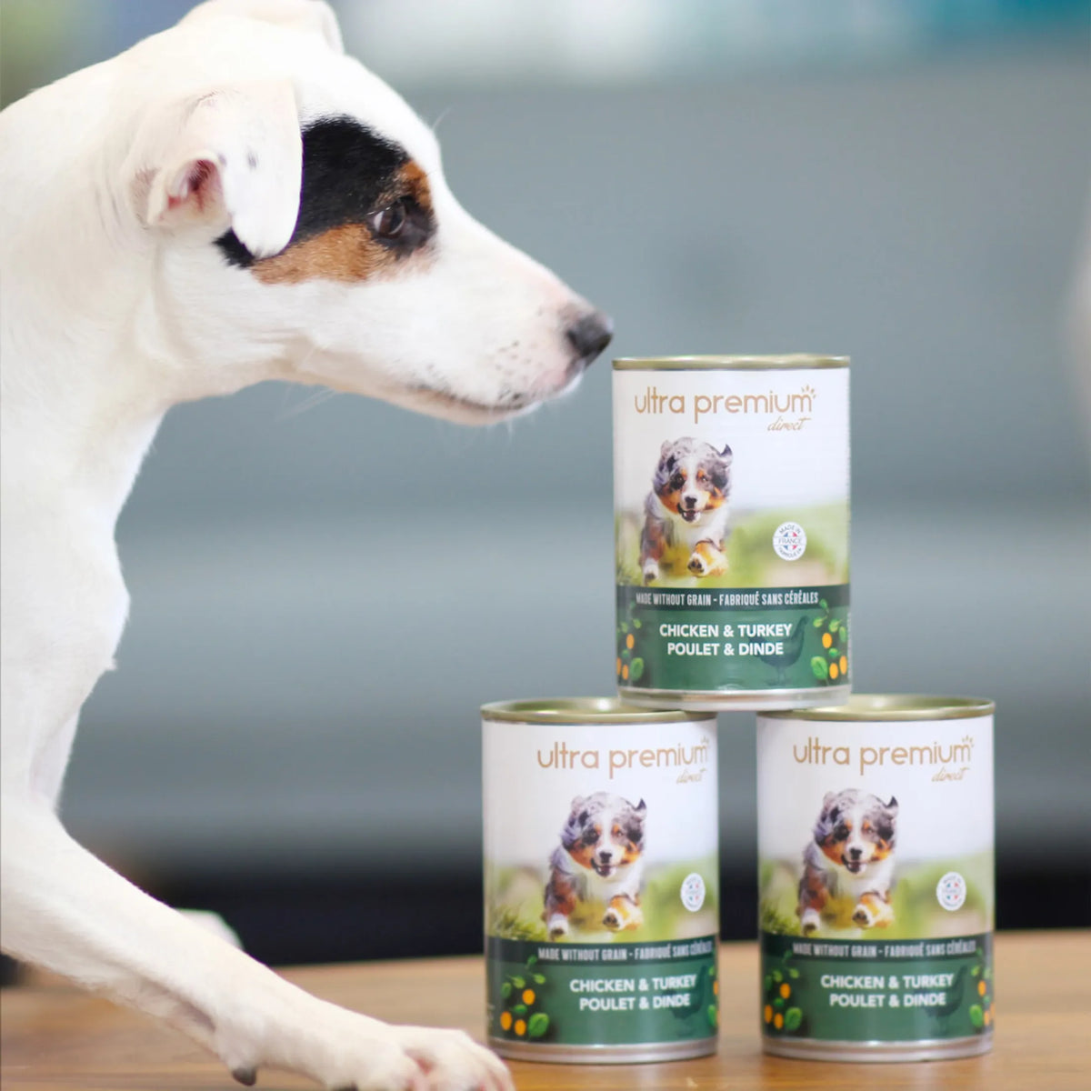 Ultra Premium Direct Boîtes de Pâtée pour Chien Sans Céréales - Poulet &amp; Dinde 400 G