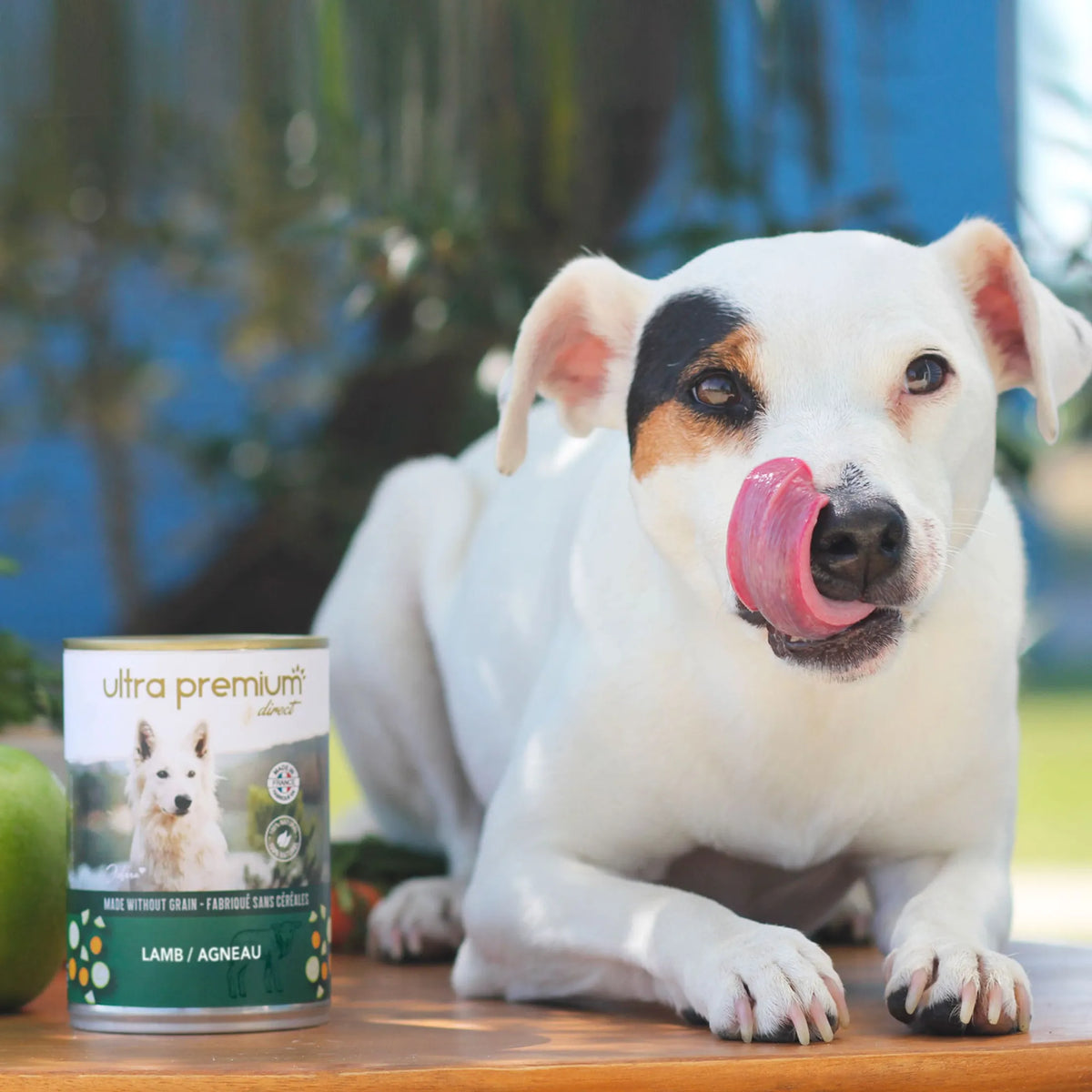 Ultra Premium Direct Boîtes de Pâtée pour Chien Sans Céréales - Agneau 400 G