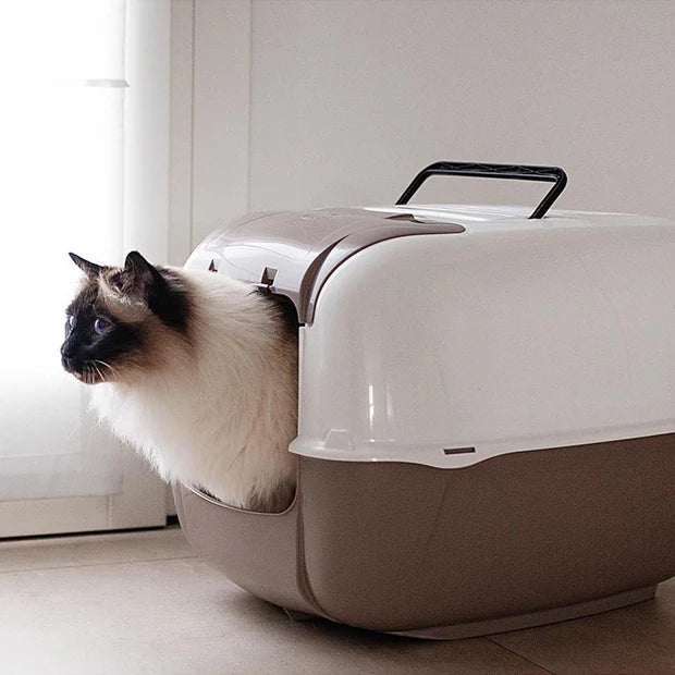 Maison de toilette PRIMA CABRIO