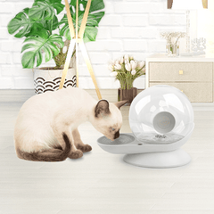 Distributeur d'eau 2,8 L AFP
