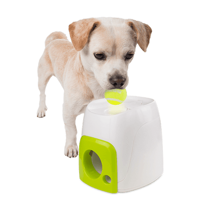 Jouet pour Chien interactive Fetch'N Treat