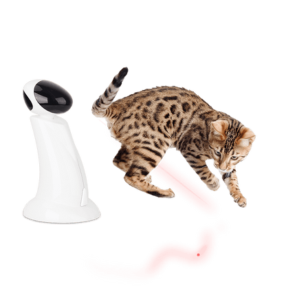 Jouet pour Chat Iteractive Lazer Beam Chat