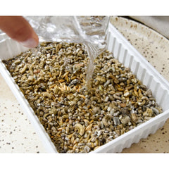 GimCat herbes à chats avec graines d’herbe d’orge naturelle 150g